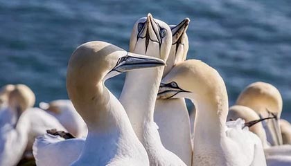 开云下载-刀光剑影:双方实力对比让人不禁为之动容,刀光剑影现场