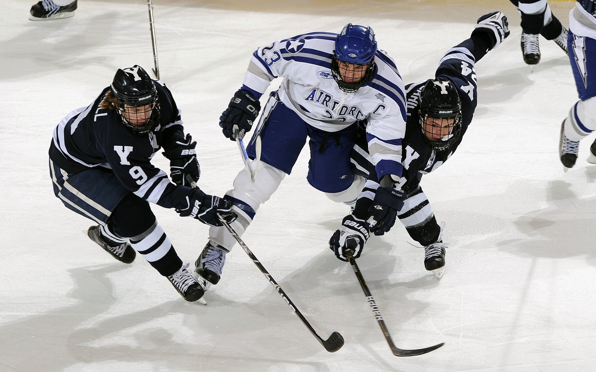 “青训教练员资格认证体系全面升级，竞技水平再提升”，职业梯队青训教练招聘